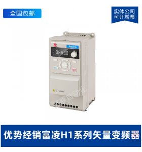 H1ϵʸƵ H100T40015BX0