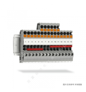 Phoenix˹_ӵض10ƽֱʽ˶_PT_10-TWIN-PE-3208745