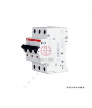 ABB·F200ϵ40Aй2P˫-F202-AC-40/0.3