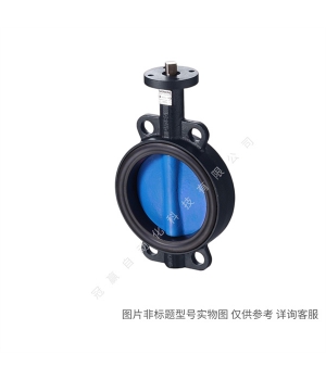 Siemens/¥Զ IBT:VVF47.80 ͨPN16