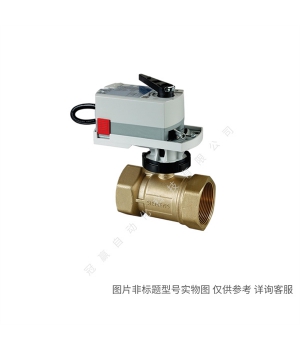 Siemens/¥Զ VXF42.40-25C