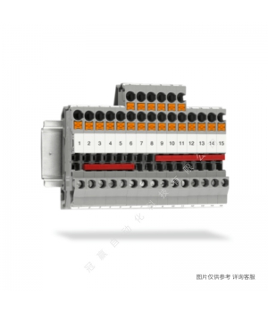 Phoenix˹_ӵض10ƽֱʽ˶_PT_10-TWIN-PE-3208745