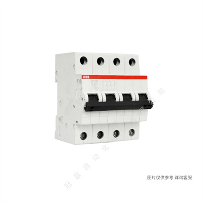 ABB΢Ͷ·  S203-C25 NA 10113675