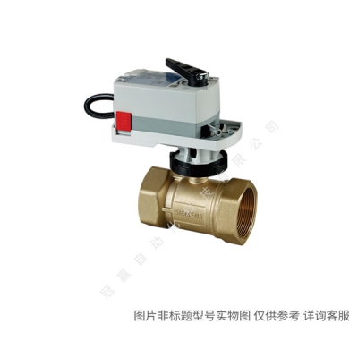 ¥Զ-VVF63.150-315 塾¹Siemens/ӡ